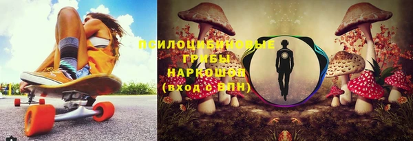 a pvp Киренск