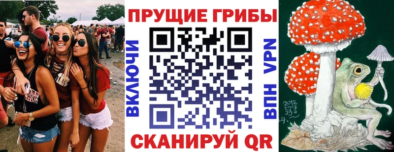 Псилоцибиновые грибы GOLDEN TEACHER  Краснозаводск 